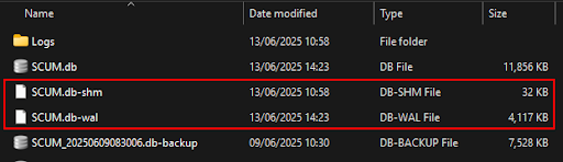 确保关闭服务器后没有这两个文件